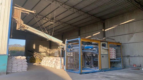 諸南面粉廠誠招全國經銷商，攜手共贏，共創未來